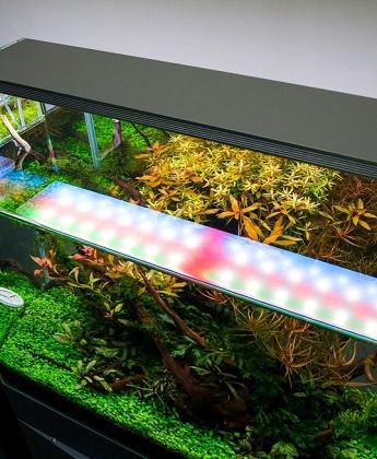Освещение в растительном аквариуме